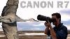 Canon R7 Long Term Review It S Complicated