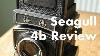 Seagull 4b Review